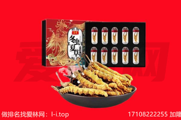 开封市杞市回收虫草.jpg